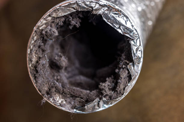 Best Air Duct Mold Removal  in Fort Lee, VA