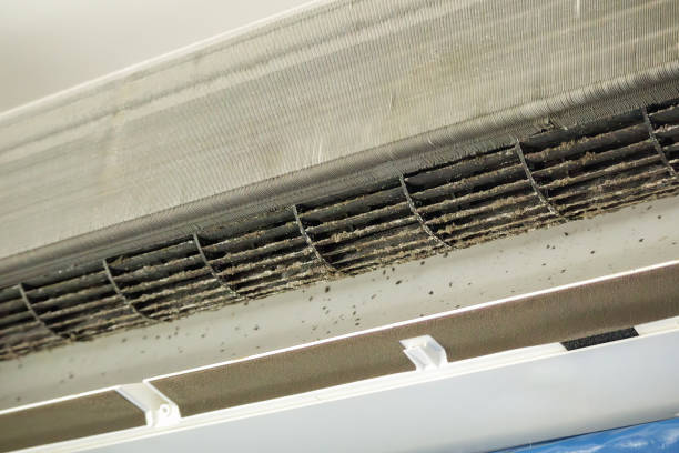 Best Local Air Duct Cleaning Services  in Fort Lee, VA